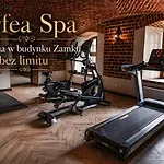 Zamek - Pałac Marysieńki Ośrodek wypoczynkowy