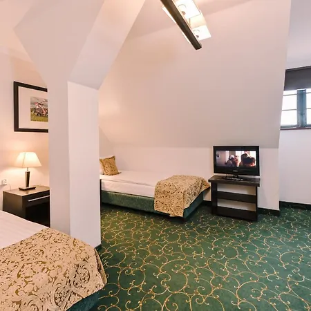 Zamek - Palac Marysienki 3*